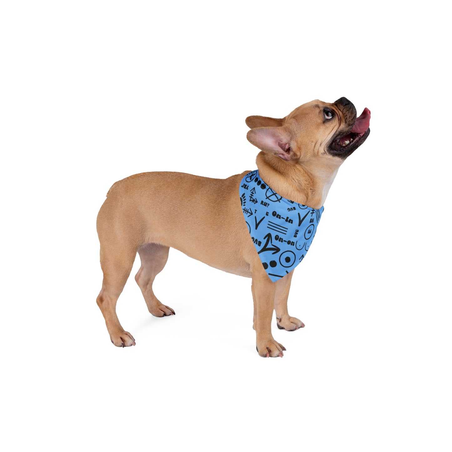Hash House Harriers Trail Symbol Pet Bandana – On-On Edition